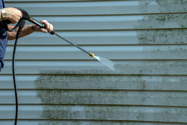 Best Exterior Home Cleaning  in Martins Ferry, OH